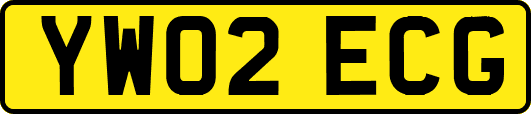 YW02ECG