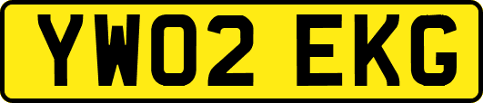 YW02EKG