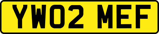 YW02MEF