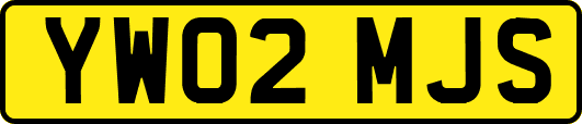 YW02MJS