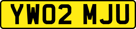 YW02MJU