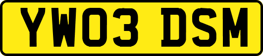YW03DSM