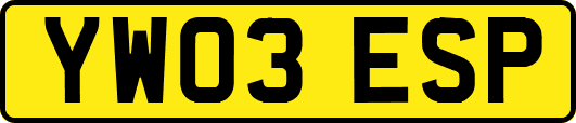 YW03ESP