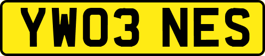 YW03NES