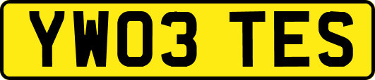 YW03TES