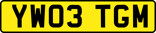 YW03TGM