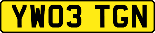 YW03TGN