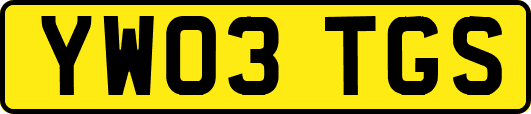 YW03TGS