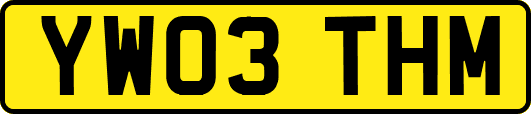 YW03THM