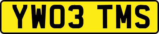 YW03TMS