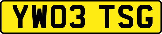 YW03TSG