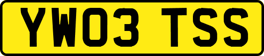 YW03TSS