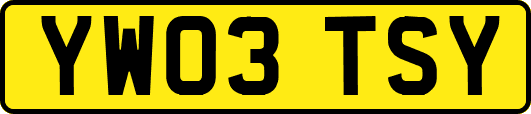 YW03TSY