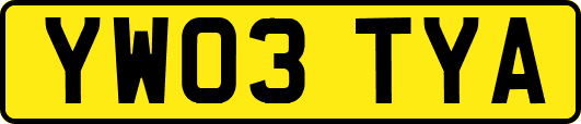 YW03TYA
