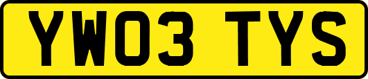 YW03TYS