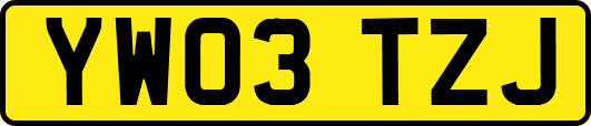 YW03TZJ