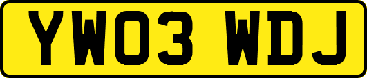 YW03WDJ