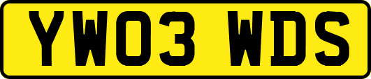 YW03WDS