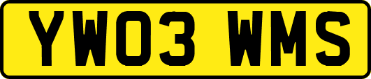 YW03WMS
