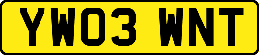 YW03WNT