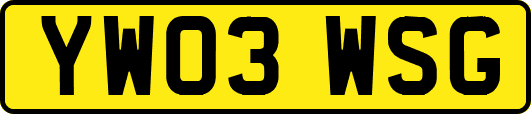 YW03WSG