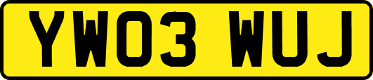YW03WUJ