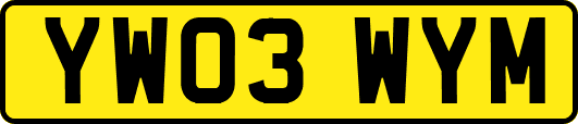 YW03WYM