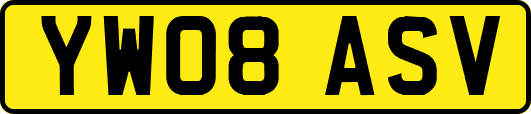 YW08ASV