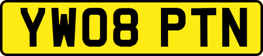 YW08PTN