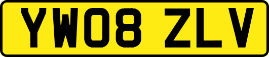 YW08ZLV