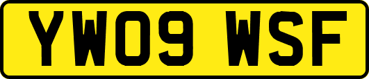 YW09WSF