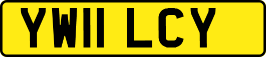 YW11LCY
