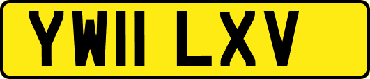 YW11LXV