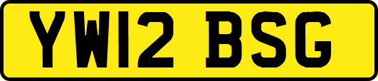 YW12BSG