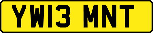 YW13MNT
