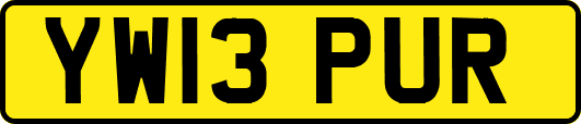 YW13PUR
