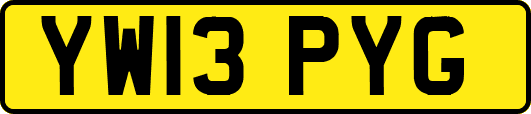 YW13PYG