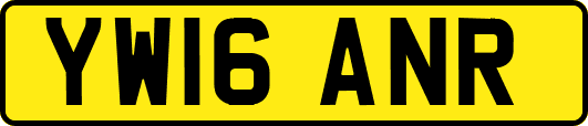 YW16ANR