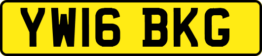 YW16BKG