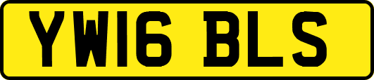 YW16BLS