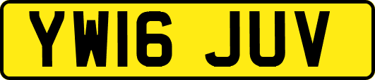 YW16JUV