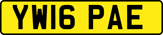 YW16PAE