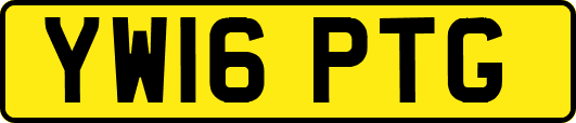 YW16PTG