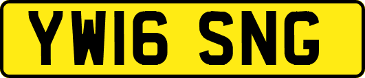 YW16SNG