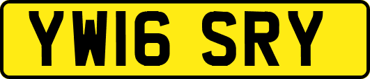 YW16SRY