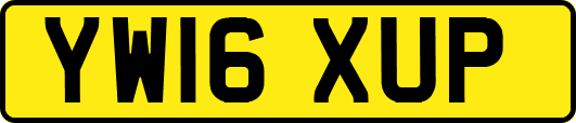 YW16XUP