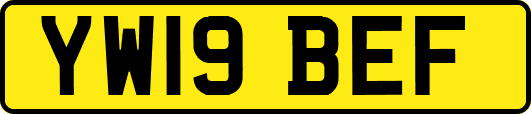 YW19BEF