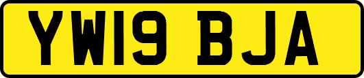 YW19BJA