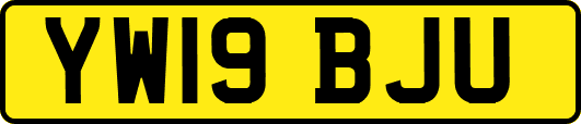 YW19BJU