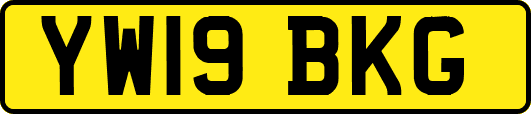 YW19BKG
